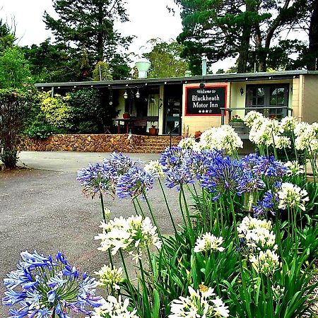 Blackheath Motor Inn Екстериор снимка