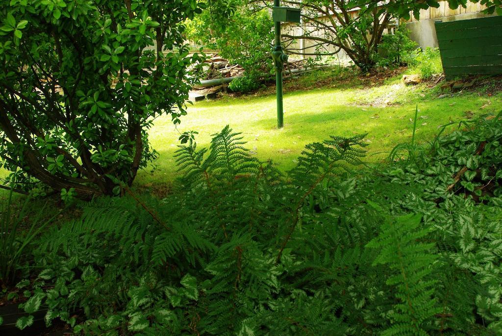 Blackheath Motor Inn Екстериор снимка