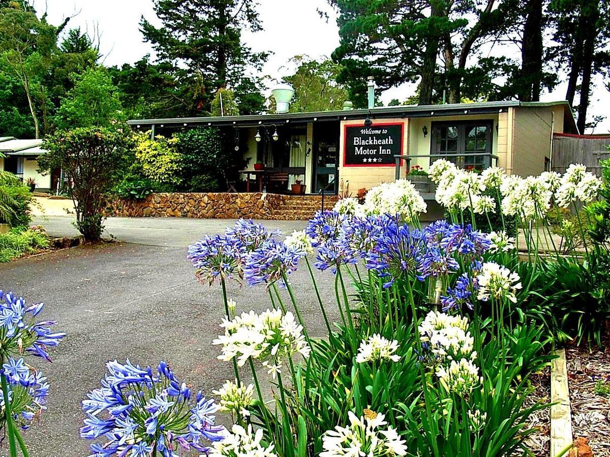 Blackheath Motor Inn Екстериор снимка